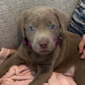 Meet your Posher, Matt